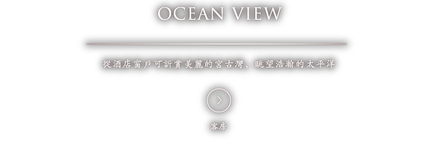 OCEAN VIEW