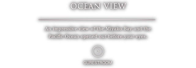 OCEAN VIEW