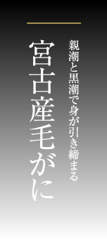 親潮と黒潮で身が引き締まる、宮古産毛がに