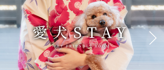 愛犬STAY