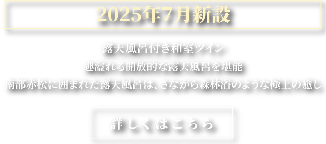露天風呂付き和室ツイン